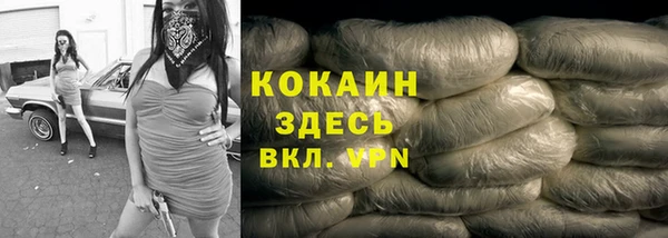 амф Инта