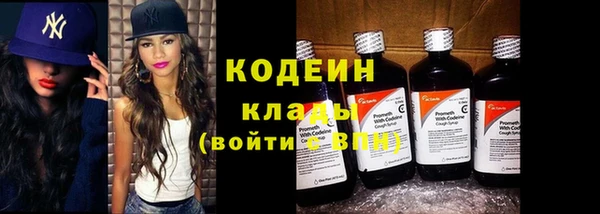 spice Инсар