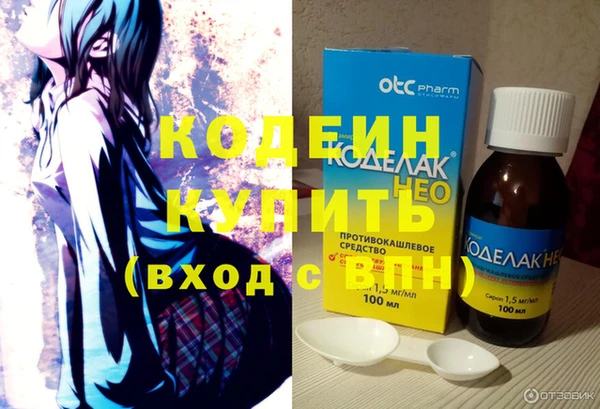 амф Инта
