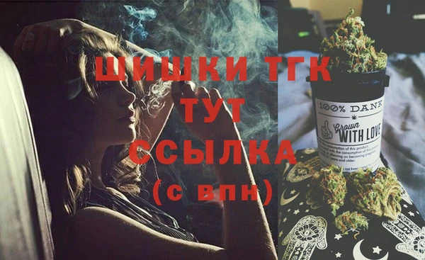 spice Инсар
