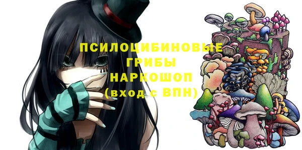 spice Инсар