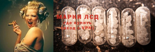 spice Инсар