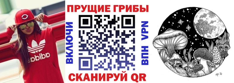 Псилоцибиновые грибы Magic Shrooms  купить   Нарткала 