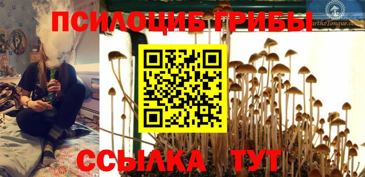 Галлюциногенные грибы Cubensis Нарткала