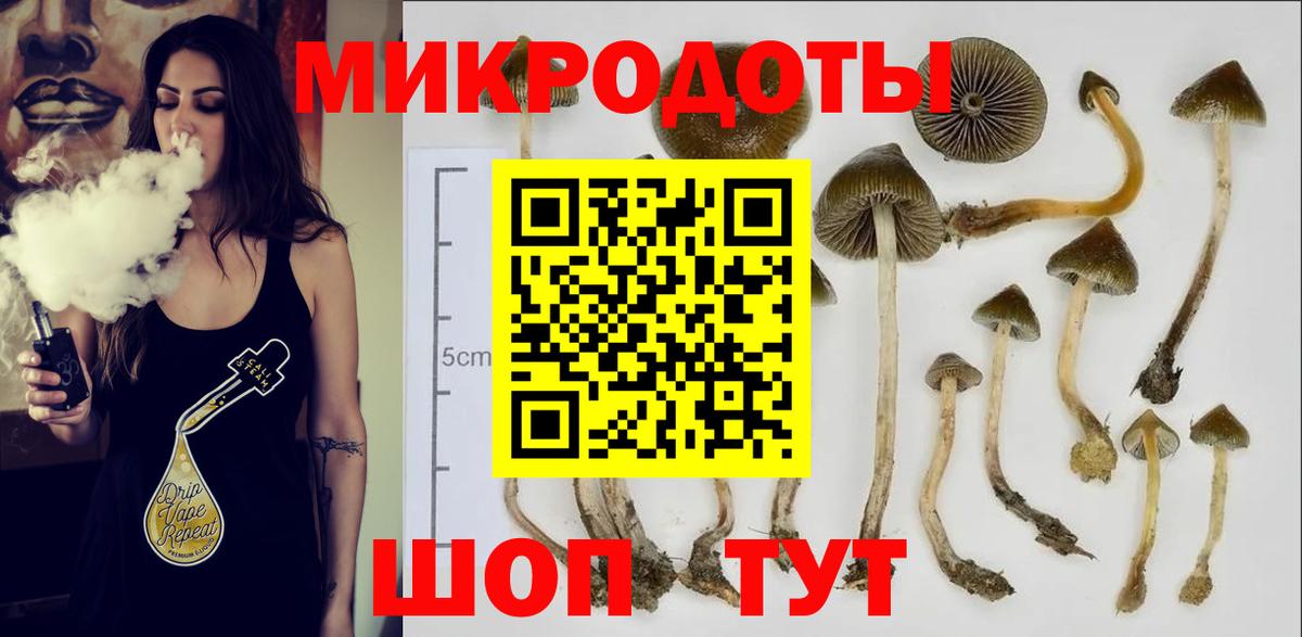 Галлюциногенные грибы Cubensis  Вход с VPN  Нарткала 